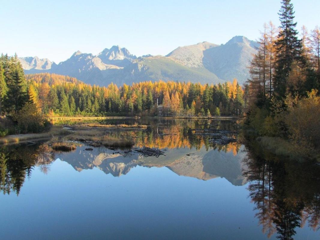 Mountain View Apartament Termy Chocholowskie 5 Min Sucha Hora Екстер'єр фото